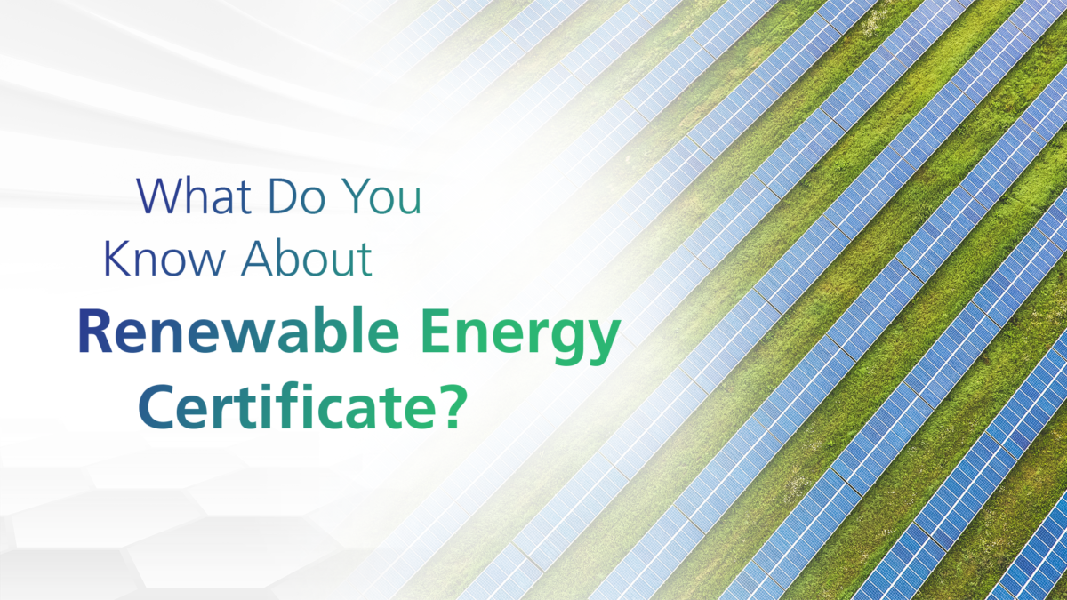 What Do You Know About Renewable Energy Certificate?