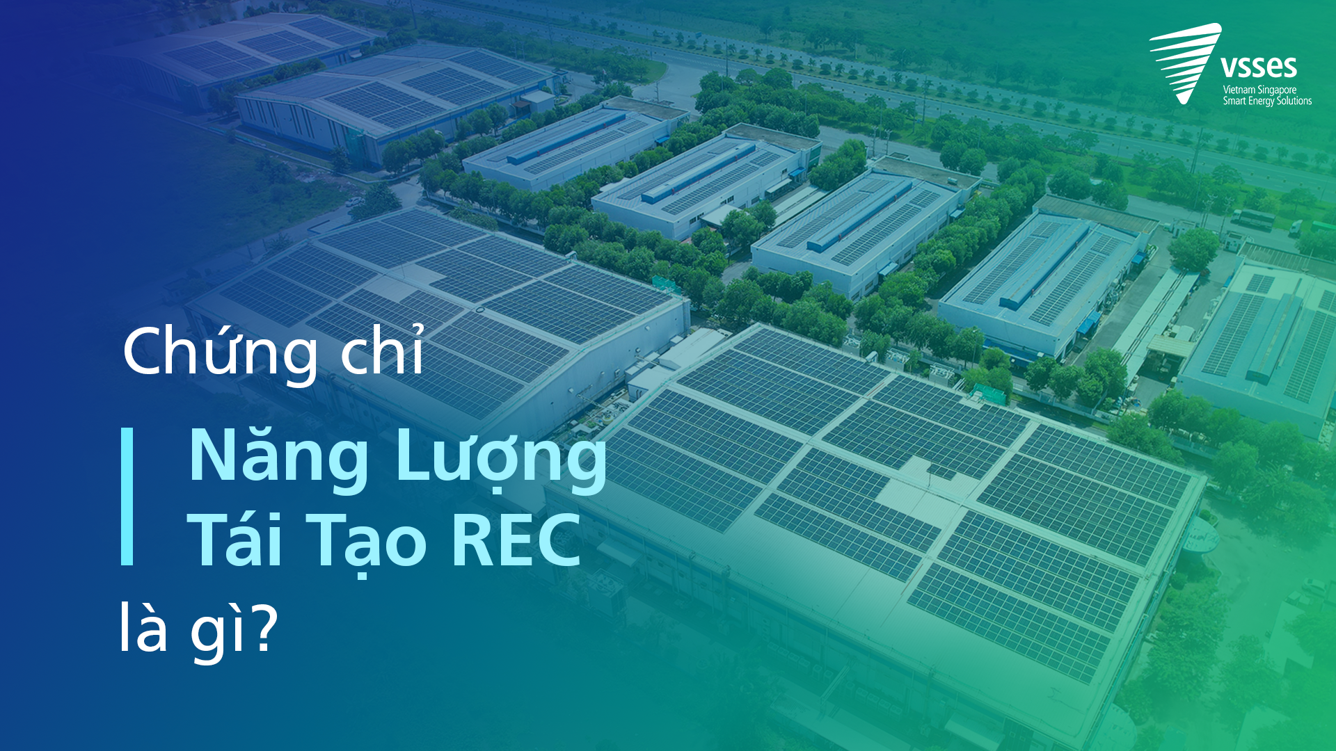 Chứng chỉ Năng lượng Tái tạo (REC) là gì?